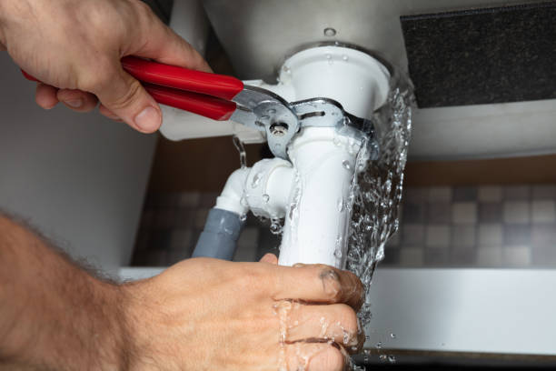 Best Mold removal after water damage  in Leominster, MA