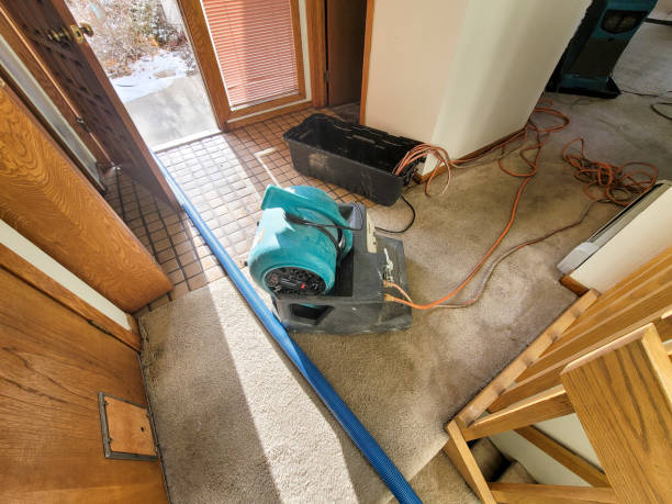 Best Water damage restoration company  in Leominster, MA