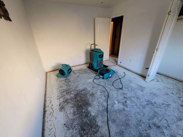 Best Residential water damage restoration  in Leominster, MA