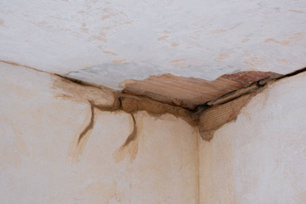 Best Local water damage restoration  in Leominster, MA