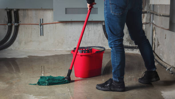 Best Basement water damage restoration  in Leominster, MA