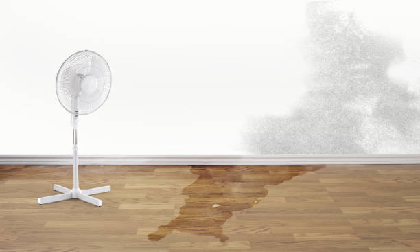 Best 24-hour water damage restoration  in Leominster, MA