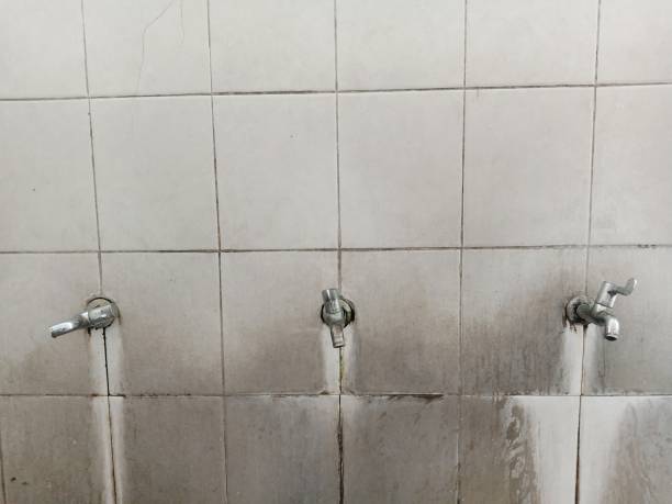 Best Mold removal after water damage  in Leominster, MA