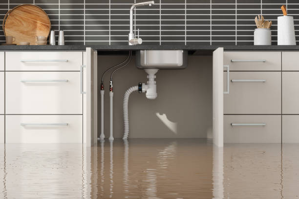 Best Local water damage restoration  in Leominster, MA
