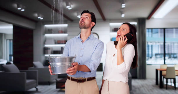 Best Sewage cleanup and water damage restoration  in Leominster, MA